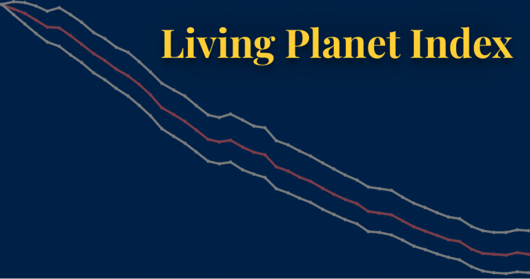 Living planet index thumbnail